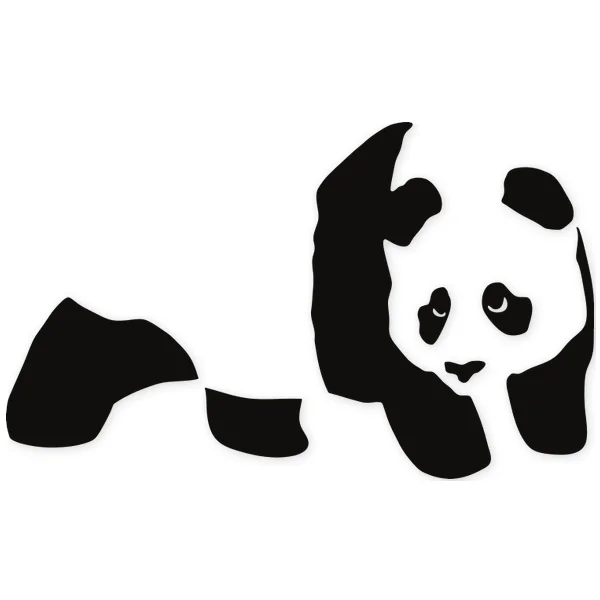 panda · bear · chinese