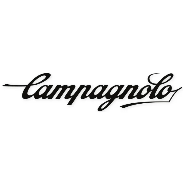 Logotipo de Campagnolo escrito en letras cursivas negras sobre fondo blanco.
