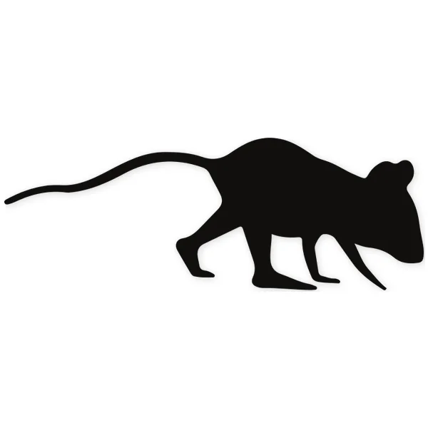ratt · mouse