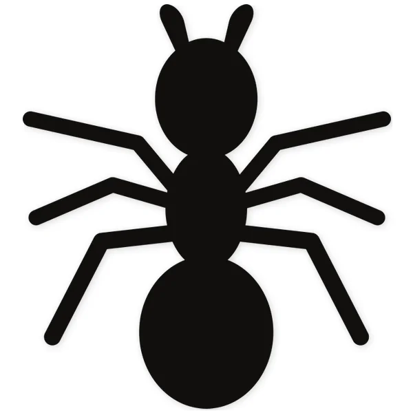 ant · insect