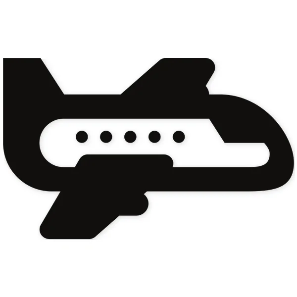plane ยท fly