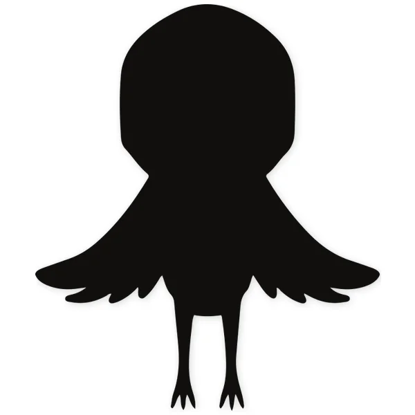 feather · fly