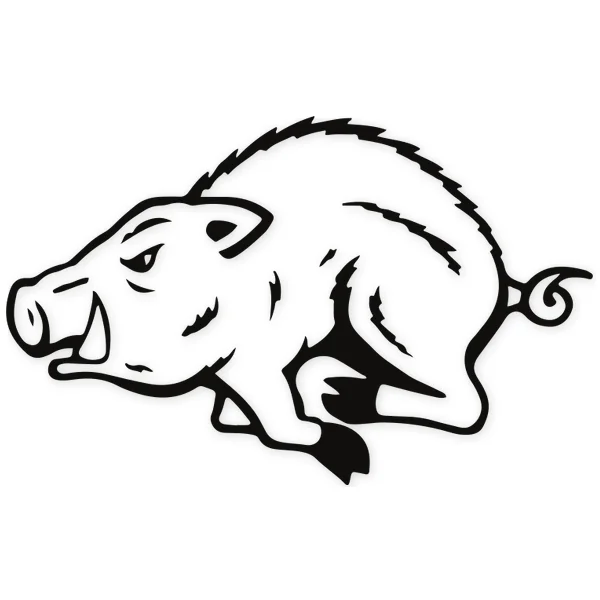 boar · running