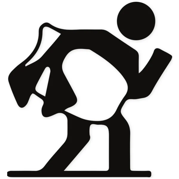 bodyboard · surf · sea