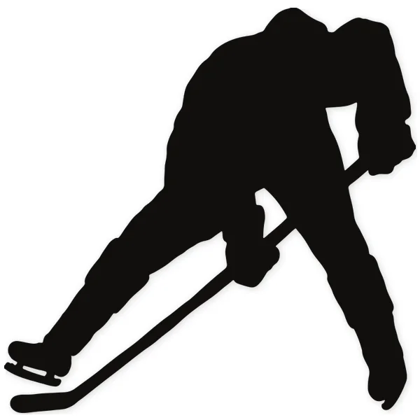 stick · hockey · skate