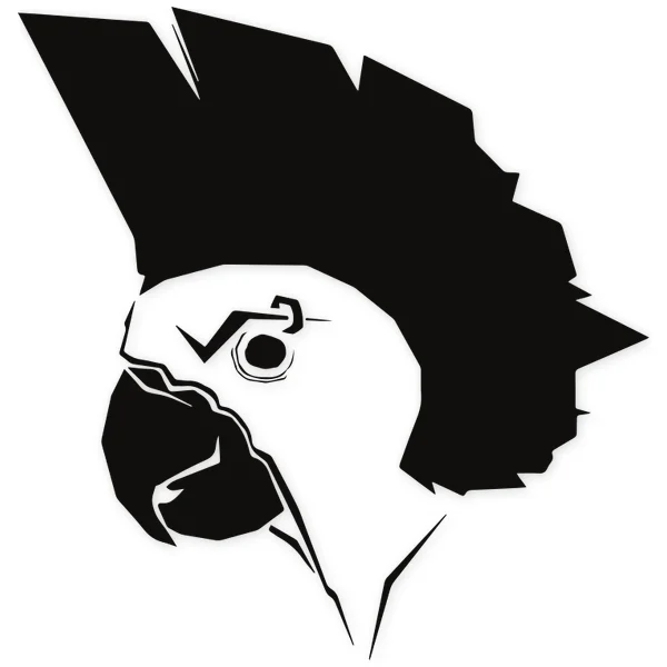 cockatoo · piercing · parrot · crest · punk · bird