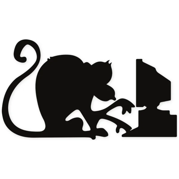 keyboard · ape · computer