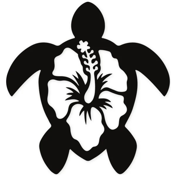 turtle · turtle · bodyboard · surf · sea
