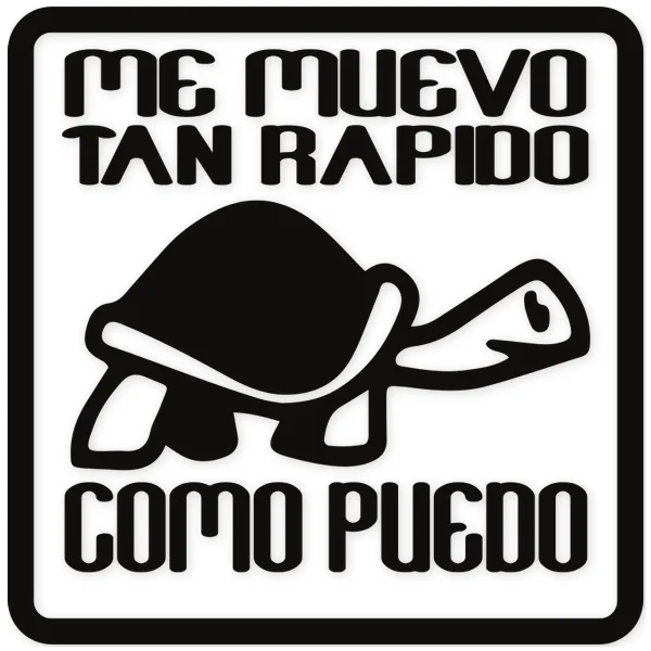 turtle · turtle · slow · multivan · california · caravaning · volkswagen · camper · car
