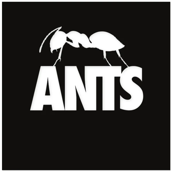 music is the antswer · ibiza · house · party · techno · dj