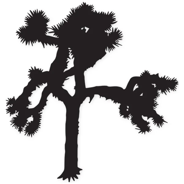 joshua · U2 · tree · play