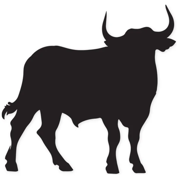 spanish · spain · cow · bull · horns