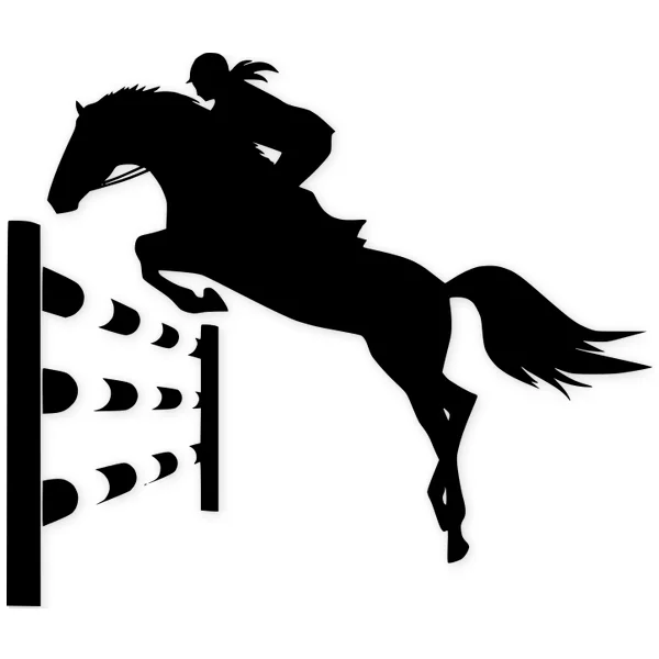 hipica · horse · jump