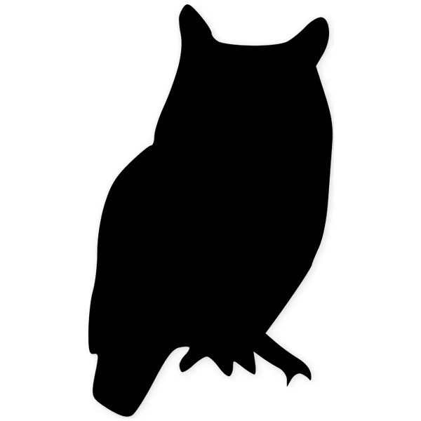 hedwig · hogwarts · sorcery · magic · book