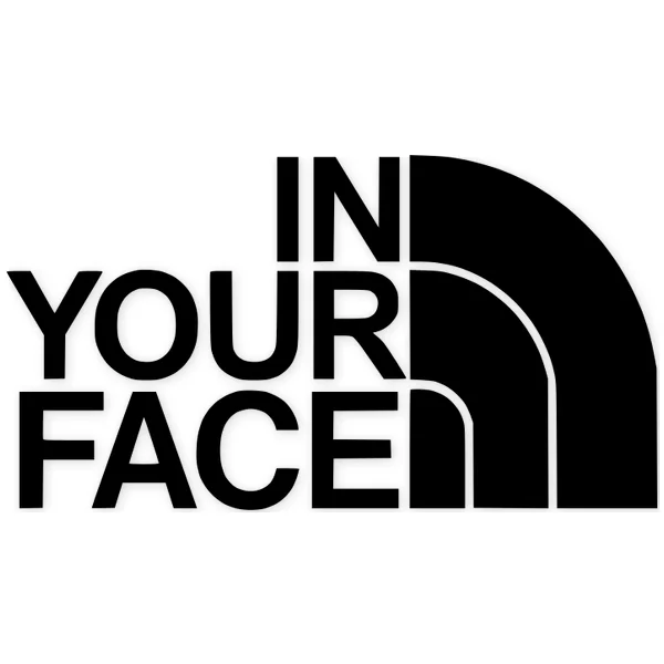 in your face · the north face