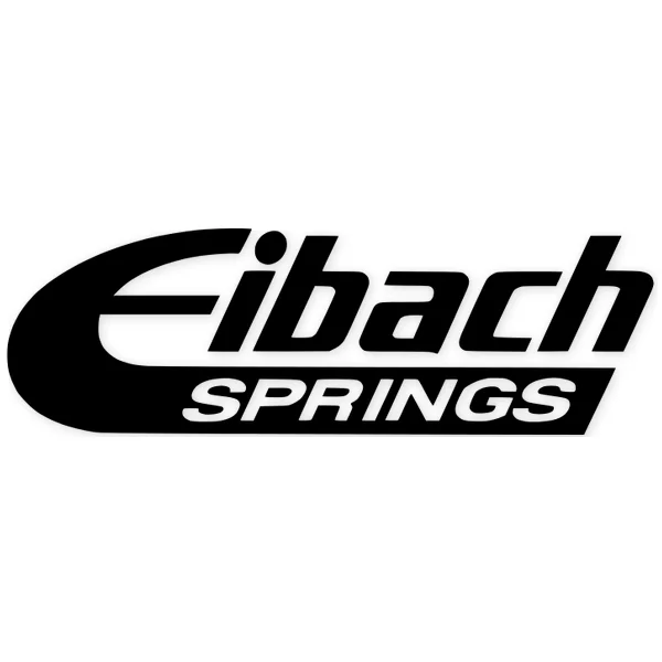 eibach springs · car