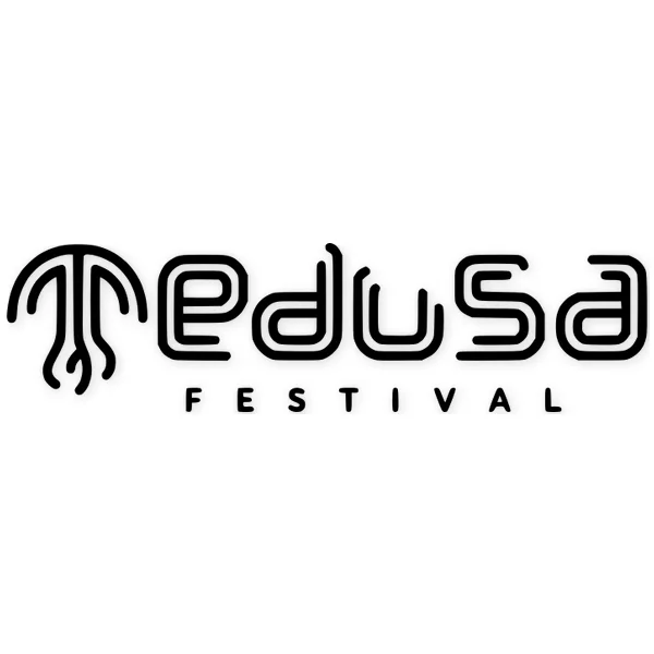 festival · electronic