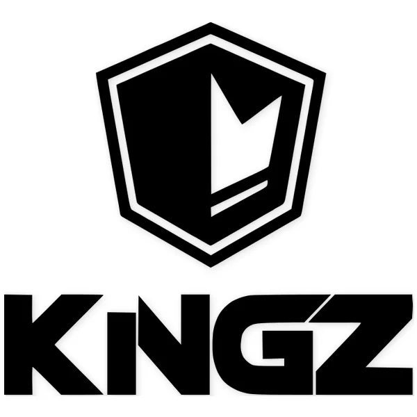 kingz · artes marciales mixtas · lucha