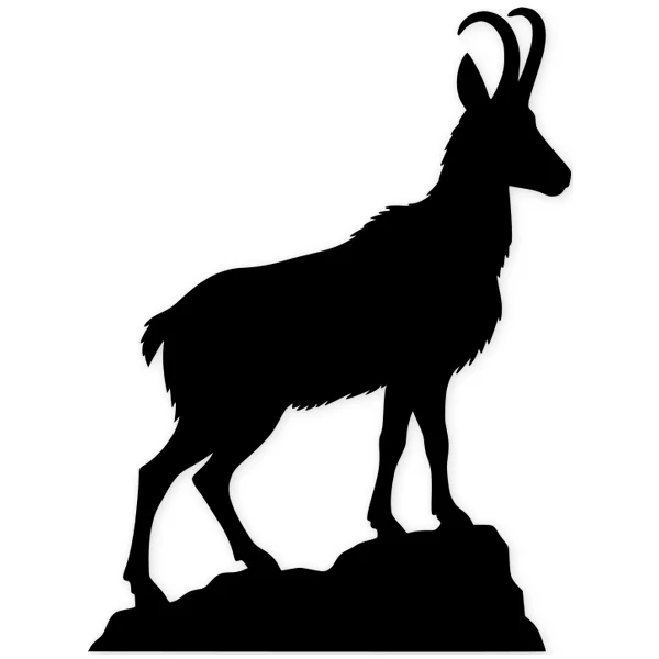 silueta · rebeco · montaña