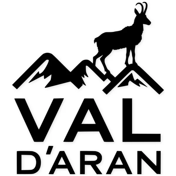 val d'aran · rebeco · montaña