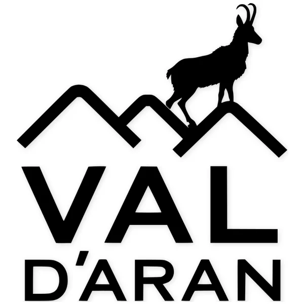 val d'aran · rebeco · montaña