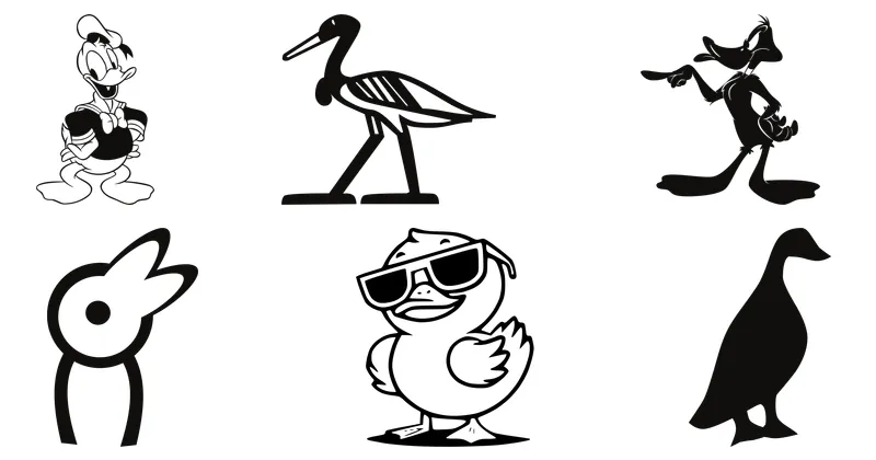 duck