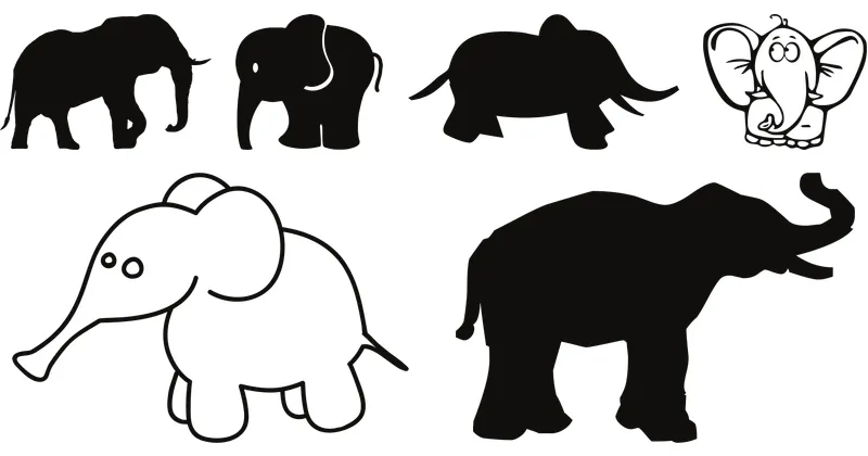 trunk