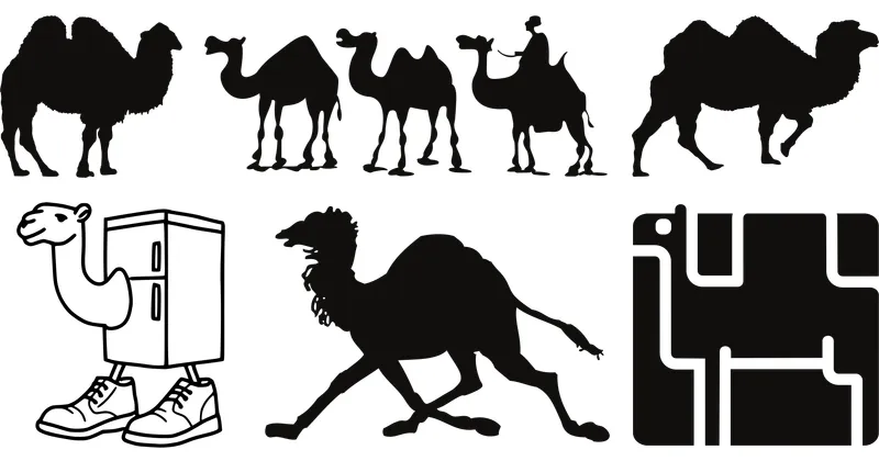 camel