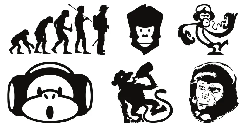 monkey