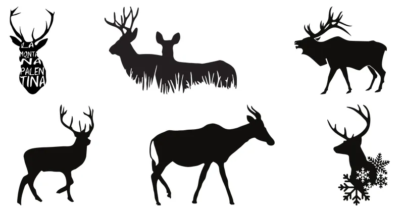 deer