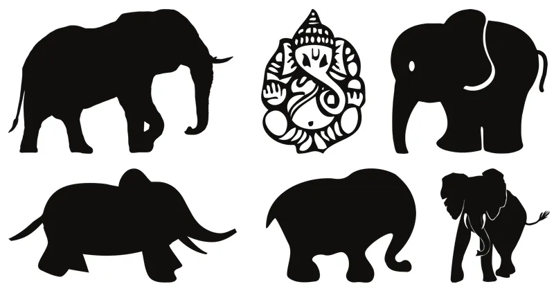 elefant