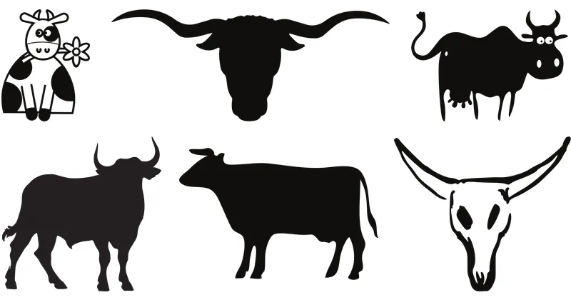 cow