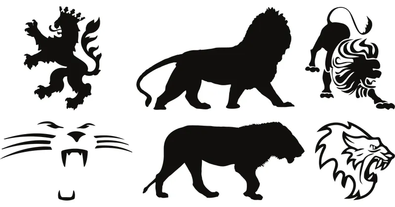 lion