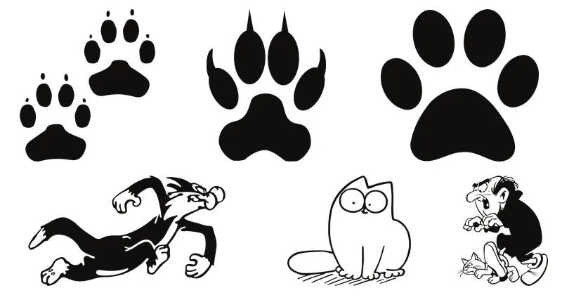 felino