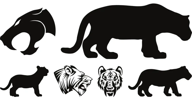tiger