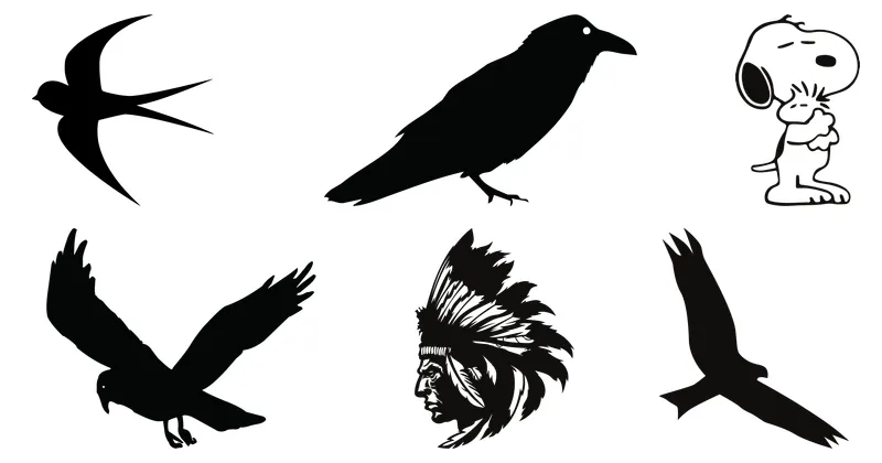 bird