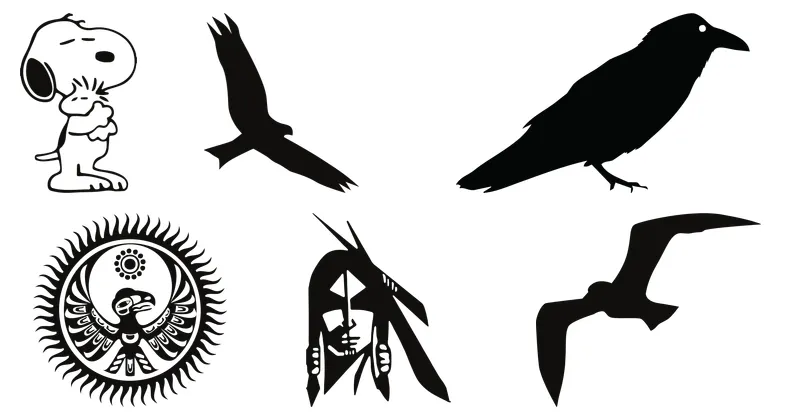 pajaro