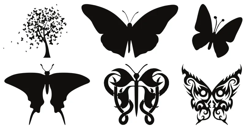 butterfly