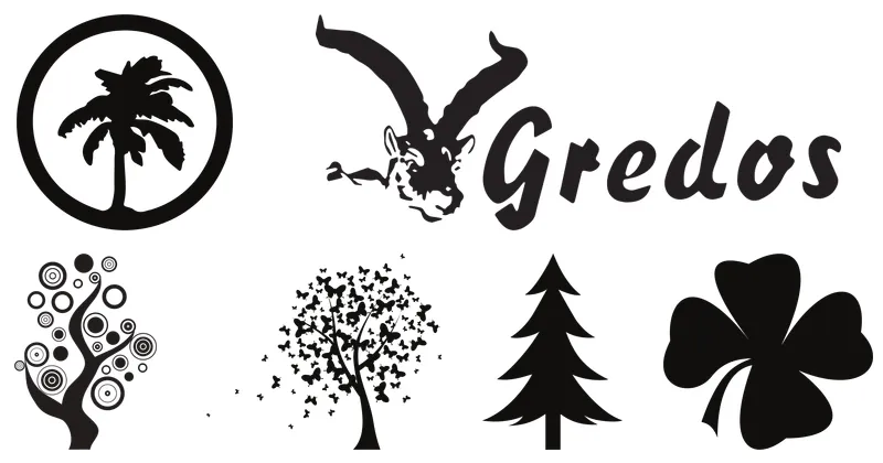 arboles y bosques