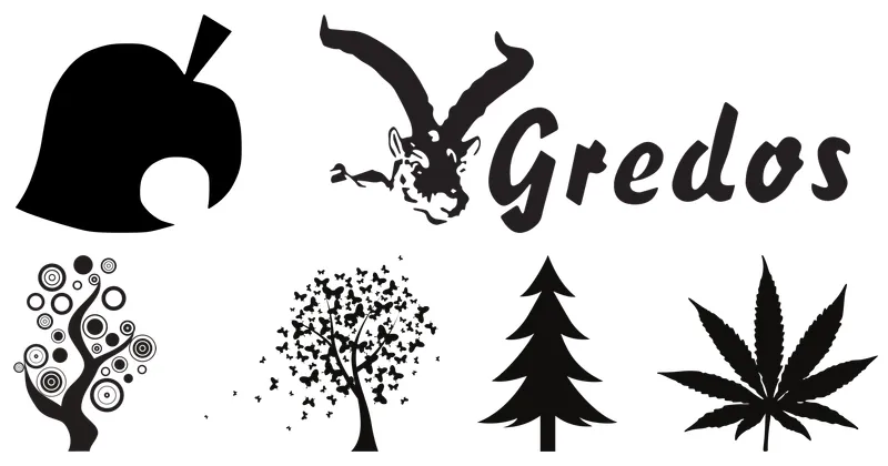 arboles y bosques