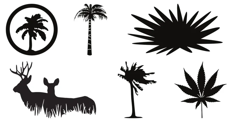 plantas y vegetacion