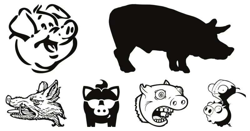 pig