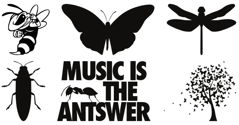 insectos