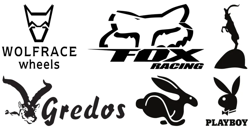 mamíferos pequeños