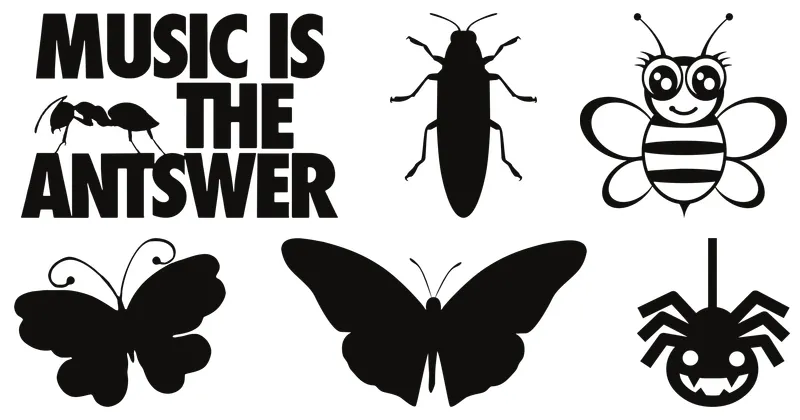 insectos y arácnidos