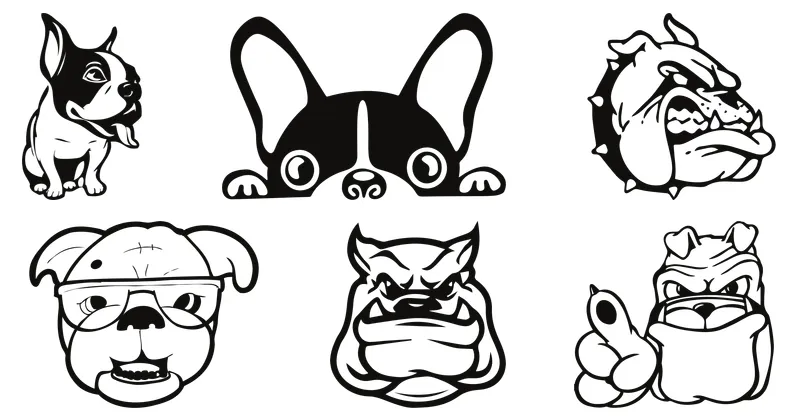 perros