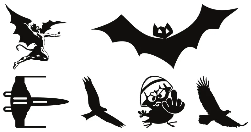 fly