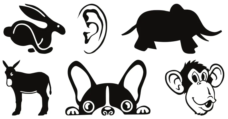 ears