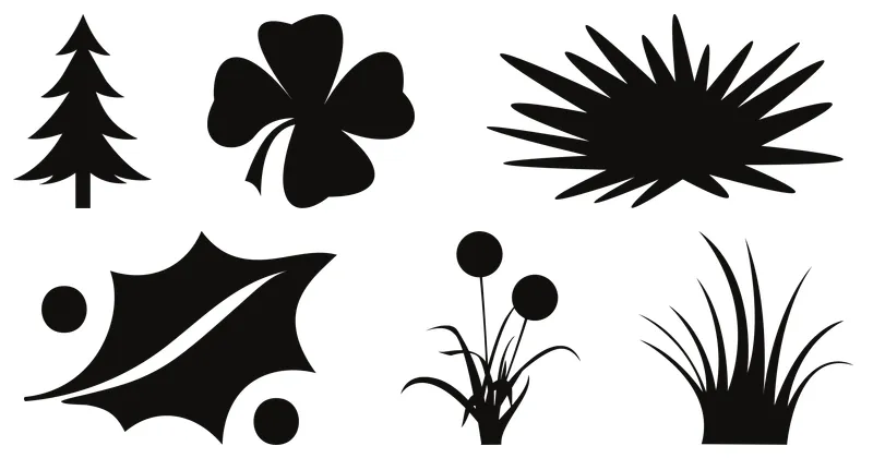 planta