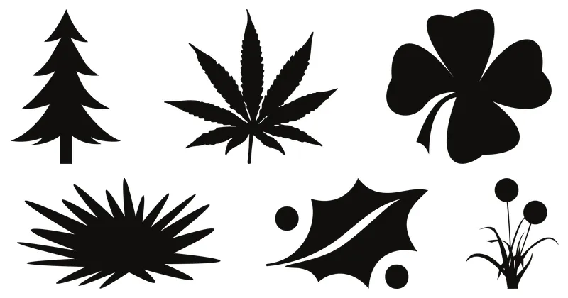 planta